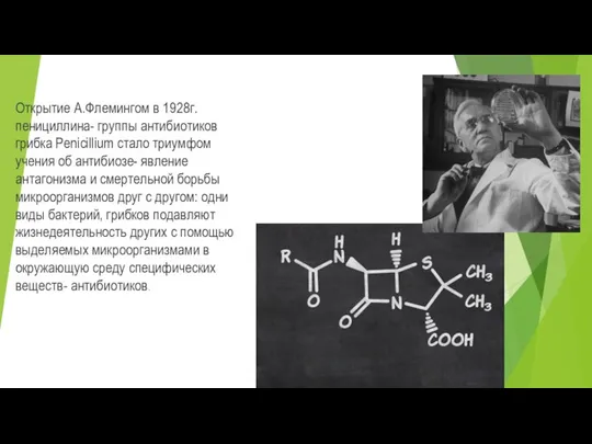 Открытие А.Флемингом в 1928г. пенициллина- группы антибиотиков грибка Penicillium стало триумфом