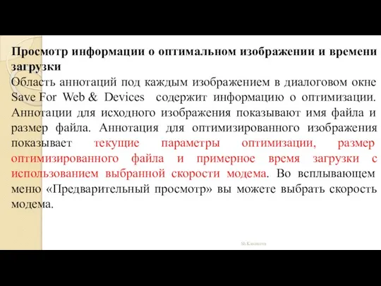 Просмотр информации о оптимальном изображении и времени загрузки Область аннотаций под