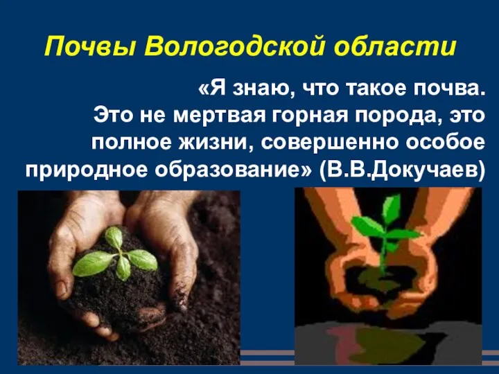 Почвы Вологодской области «Я знаю, что такое почва. Это не мертвая
