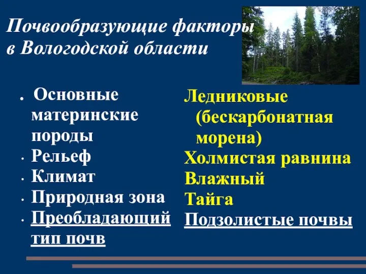 Почвообразующие факторы в Вологодской области . Основные материнские породы Рельеф Климат
