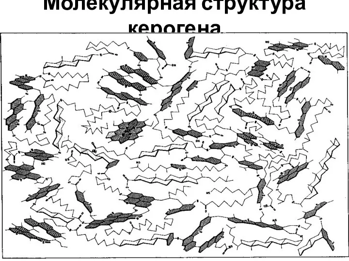 Молекулярная структура керогена