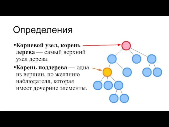 Определения Корневой узел, корень дерева — самый верхний узел дерева. Корень