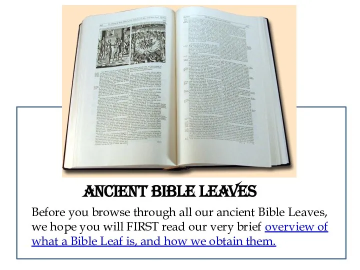 Before you browse through all our ancient Bible Leaves, we hope