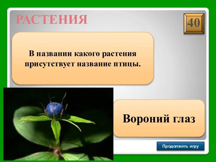 Продолжить игру РАУНД II РАСТЕНИЯ В названии какого растения присутствует название птицы. Вороний глаз