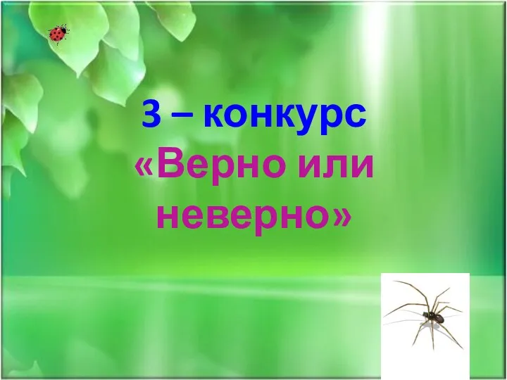 3 – конкурс «Верно или неверно»