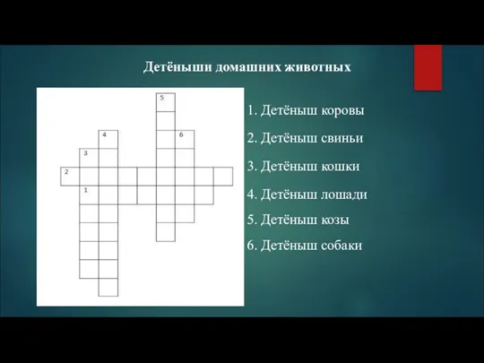 Детёныши домашних животных 1. Детёныш коровы 2. Детёныш свиньи 3. Детёныш