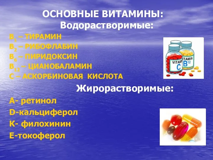 ОСНОВНЫЕ ВИТАМИНЫ: Водорастворимые: B1 – ТИРАМИН B2 – РИБОФЛАБИН В6 –