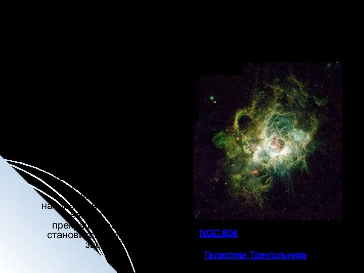 Рождение звёзд Звезда начинает свою жизнь как холодное разряжённое облако межзвёздного
