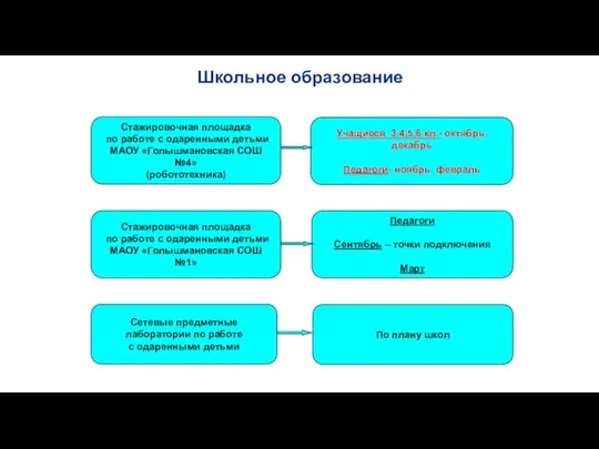 Школьное образование Стажировочная площадка по работе с одаренными детьми МАОУ «Голышмановская