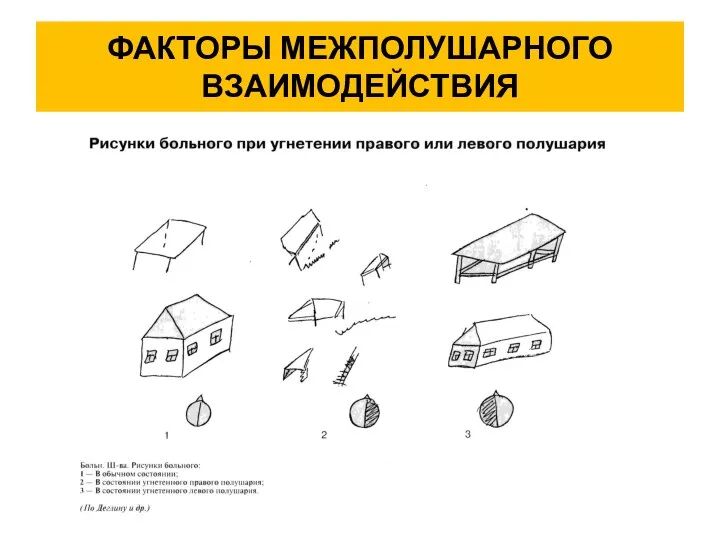 ФАКТОРЫ МЕЖПОЛУШАРНОГО ВЗАИМОДЕЙСТВИЯ