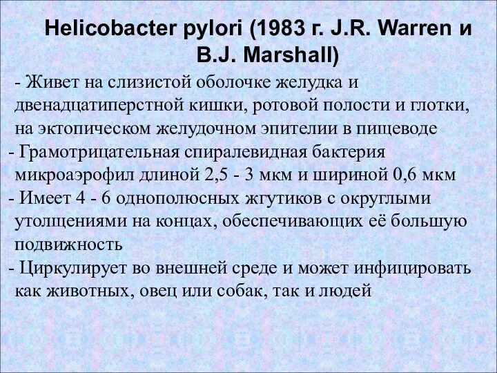 Helicobacter pylori (1983 г. J.R. Warren и B.J. Marshall) - Живет