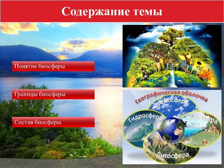 Содержание темы Понятие биосферы Границы биосферы Состав биосферы