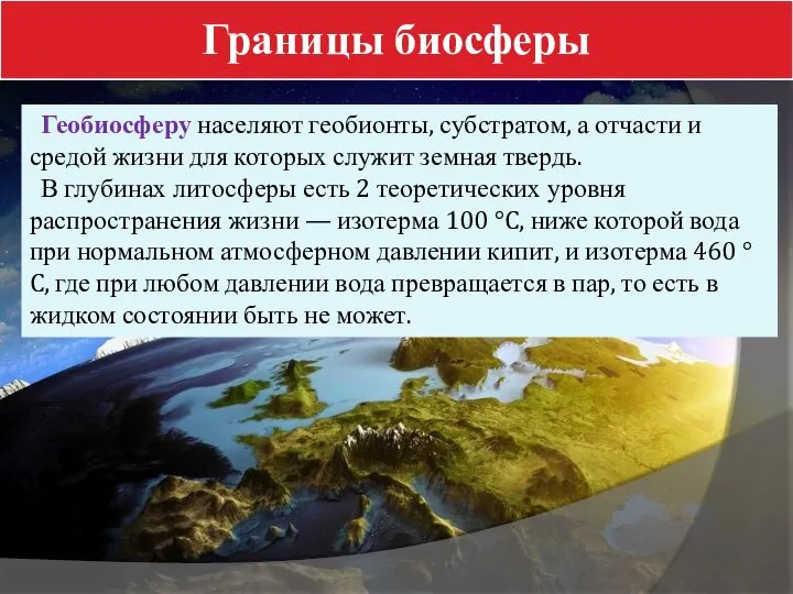 Границы биосферы Геобиосферу населяют геобионты, субстратом, а отчасти и средой жизни