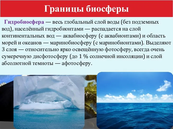 Границы биосферы Гидробиосфера — весь глобальный слой воды (без подземных вод),