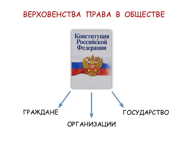 ВЕРХОВЕНСТВА ПРАВА В ОБЩЕСТВЕ ГРАЖДАНЕ ОРГАНИЗАЦИИ ГОСУДАРСТВО