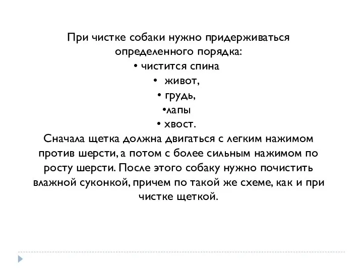 При чистке собаки нужно придерживаться определенного порядка: чистится спина живот, грудь,