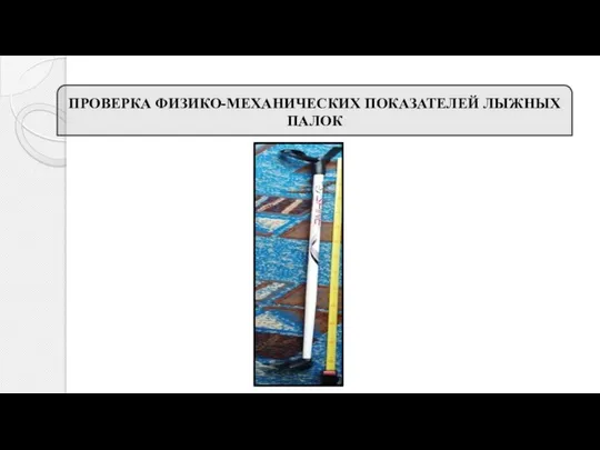 ПРОВЕРКА ФИЗИКО-МЕХАНИЧЕСКИХ ПОКАЗАТЕЛЕЙ ЛЫЖНЫХ ПАЛОК