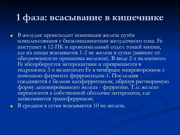 1 фаза: всасывание в кишечнике В желудке происходит ионизация железа путём