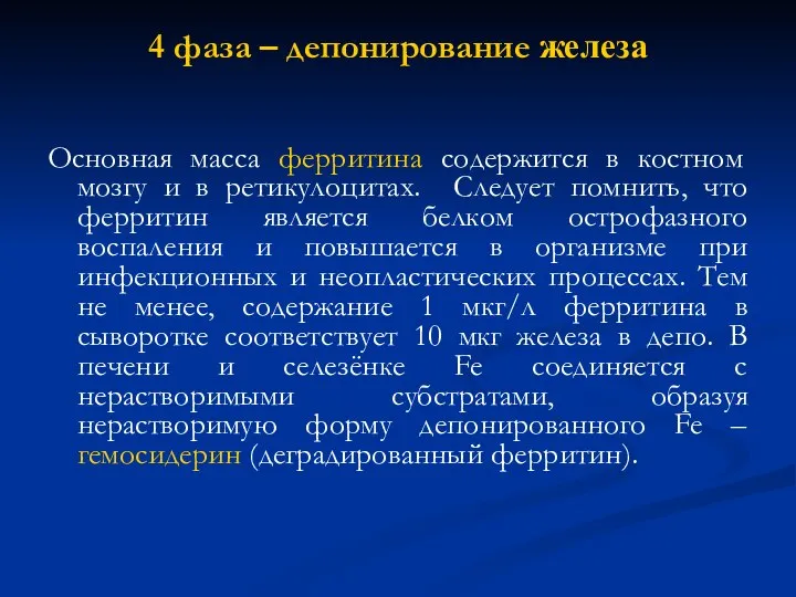 4 фаза – депонирование железа Основная масса ферритина содержится в костном