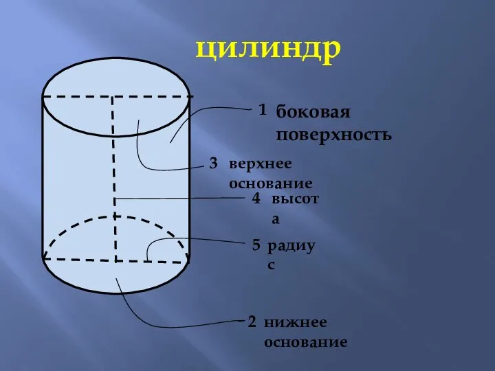 цилиндр 1 2 3 4 5 боковая поверхность нижнее основание верхнее основание высота радиус