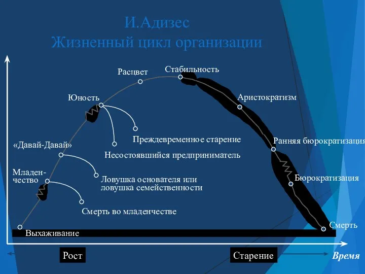 И.Адизес Жизненный цикл организации