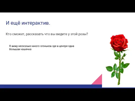 И ещё интерактив. Кто сможет, рассказать что вы видите у этой