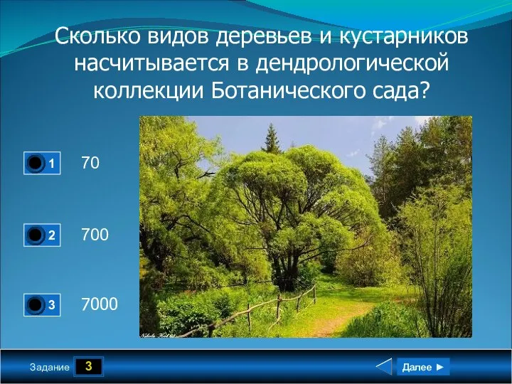 3 Задание Сколько видов деревьев и кустарников насчитывается в дендрологической коллекции