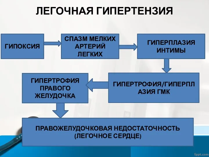 ЛЕГОЧНАЯ ГИПЕРТЕНЗИЯ ГИПОКСИЯ СПАЗМ МЕЛКИХ АРТЕРИЙ ЛЕГКИХ ГИПЕРПЛАЗИЯ ИНТИМЫ ГИПЕРТРОФИЯ/ГИПЕРПЛАЗИЯ ГМК