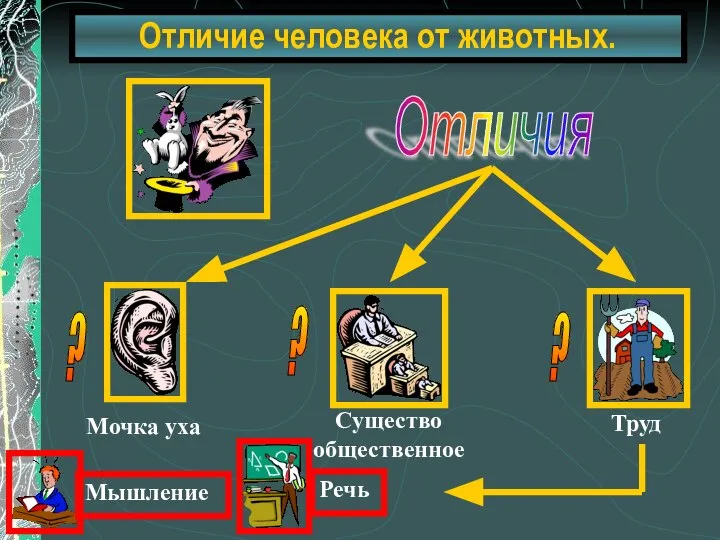 Отличие человека от животных. Отличия