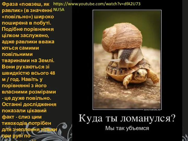 Фраза «повзеш, як равлик» (в значенні «повільно») широко поширена в побуті.