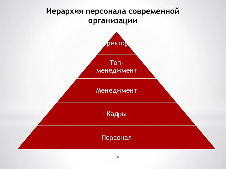 Иерархия персонала современной организации