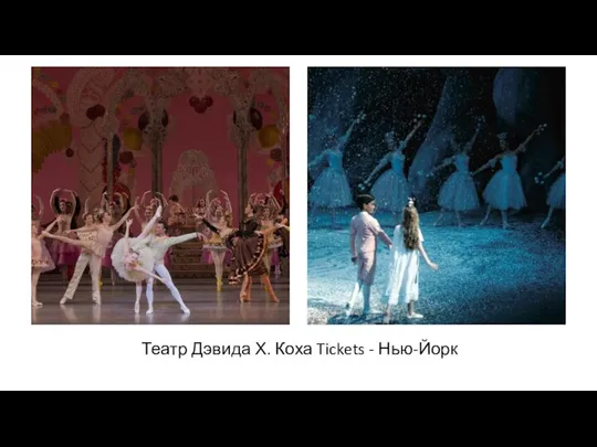 Театр Дэвида Х. Коха Tickets - Нью-Йорк