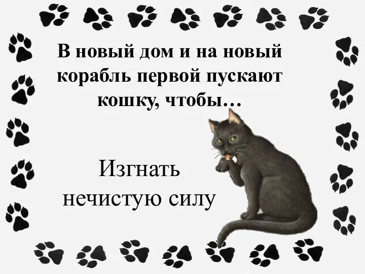 В новый дом и на новый корабль первой пускают кошку, чтобы… Изгнать нечистую силу