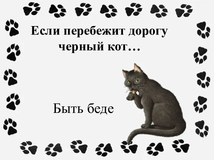Если перебежит дорогу черный кот… Быть беде