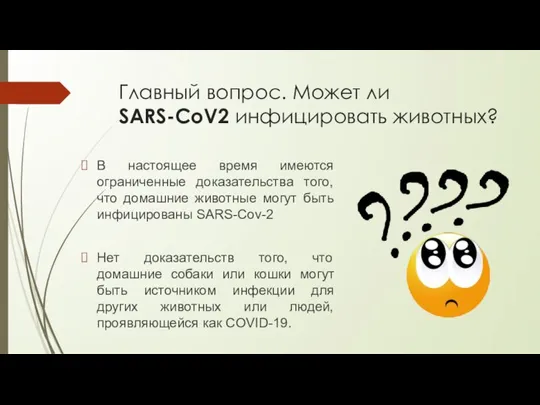 Главный вопрос. Может ли SARS-CoV2 инфицировать животных? В настоящее время имеются