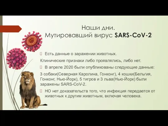 Наши дни. Мутировавший вирус SARS-CoV-2 Есть данные о заражении животных. Клинические