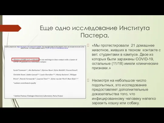 Еще одно исследование Института Пастера. «Мы протестировали 21 домашнее животное, живших