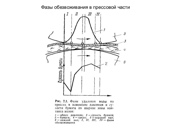 Фазы обезвоживания в прессовой части