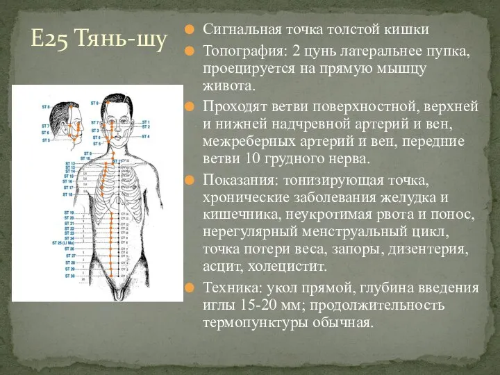 Сигнальная точка толстой кишки Топография: 2 цунь латеральнее пупка, проецируется на