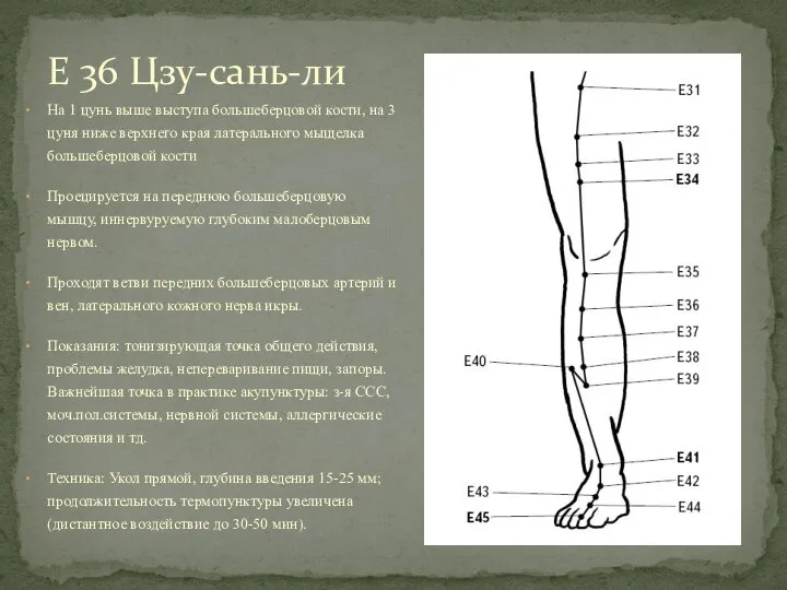 На 1 цунь выше выступа большеберцовой кости, на 3 цуня ниже