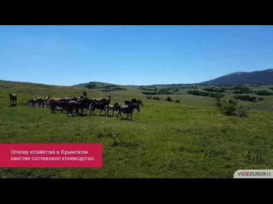 Основу хозяйства в Крымском ханстве составляло коневодство.