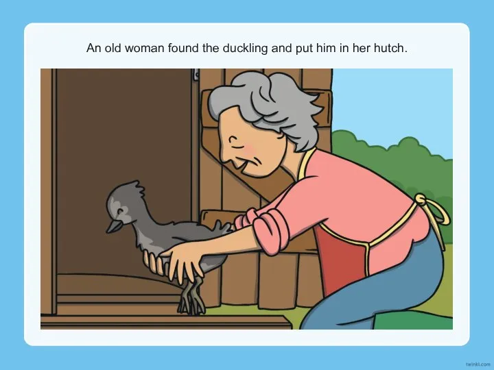 An old woman found the duckling and put him in her hutch.