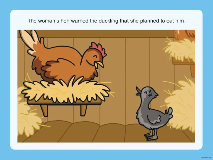 The woman’s hen warned the duckling that she planned to eat him.