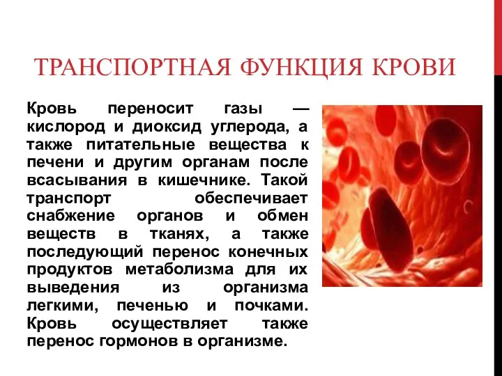 ТРАНСПОРТНАЯ ФУНКЦИЯ КРОВИ Кровь переносит газы — кислород и диоксид углерода,