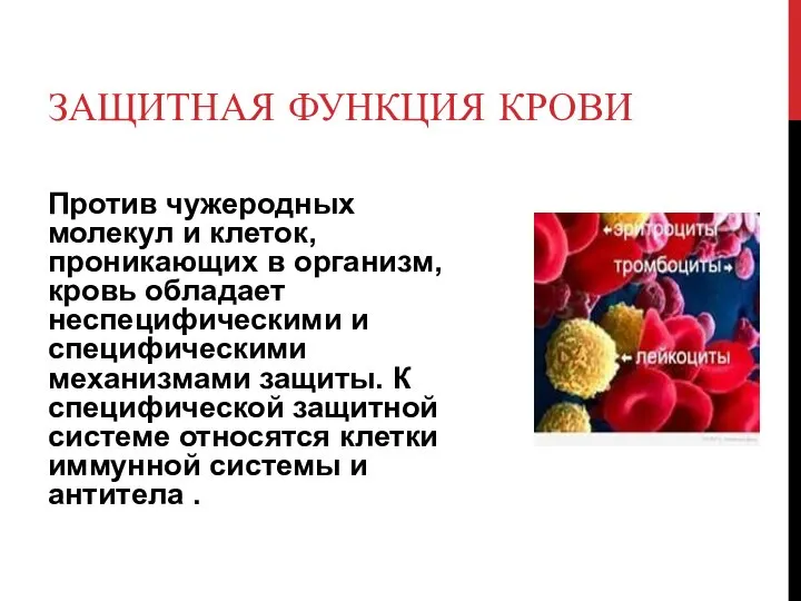 ЗАЩИТНАЯ ФУНКЦИЯ КРОВИ Против чужеродных молекул и клеток, проникающих в организм,