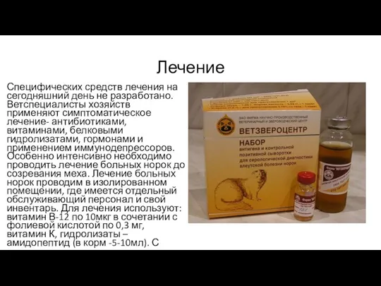 Лечение Специфических средств лечения на сегодняшний день не разработано. Ветспециалисты хозяйств