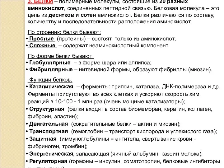 3. БЕЛКИ – полимерные молекулы, состоящие из 20 разных аминокислот, соединенных