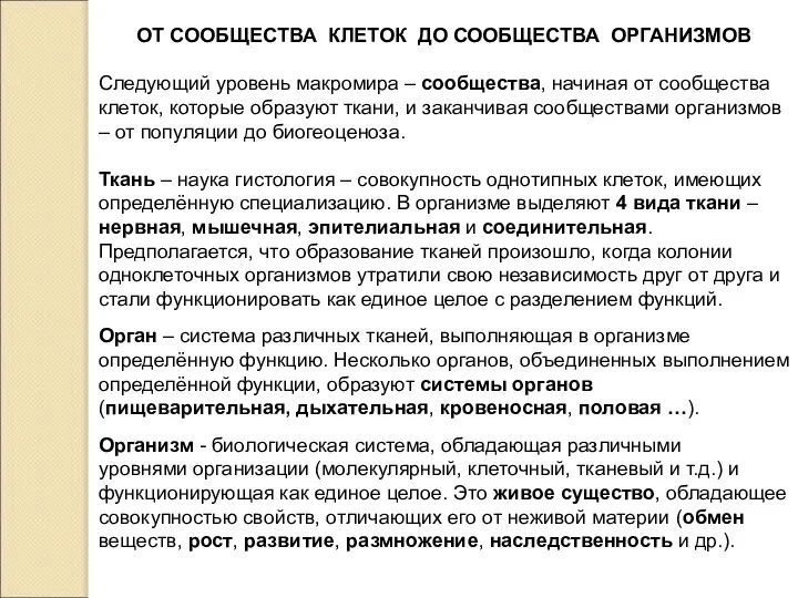 ОТ СООБЩЕСТВА КЛЕТОК ДО СООБЩЕСТВА ОРГАНИЗМОВ Следующий уровень макромира – сообщества,