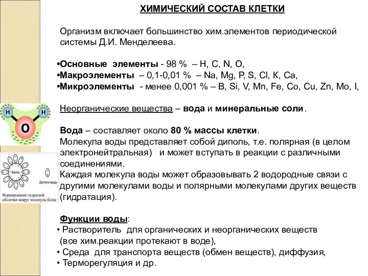 ХИМИЧЕСКИЙ СОСТАВ КЛЕТКИ Организм включает большинство хим.элементов периодической системы Д.И. Менделеева.