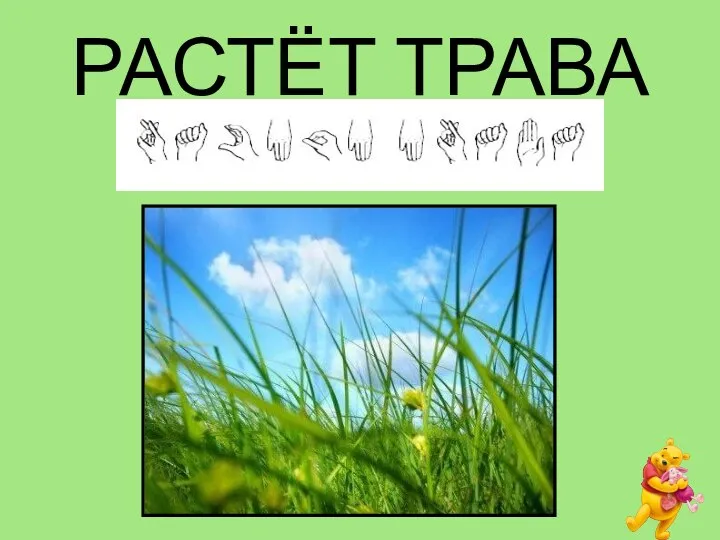 РАСТЁТ ТРАВА